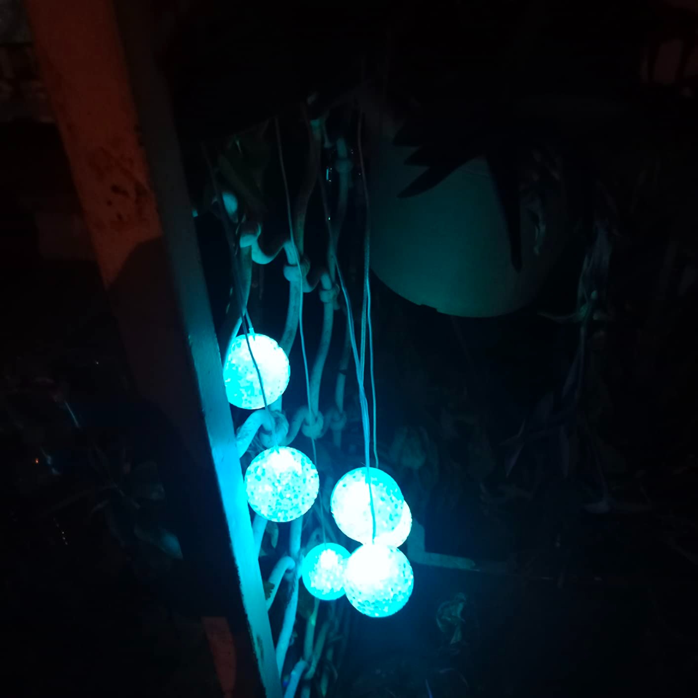 AuraLumi™ Carillon Solaire Enchanté